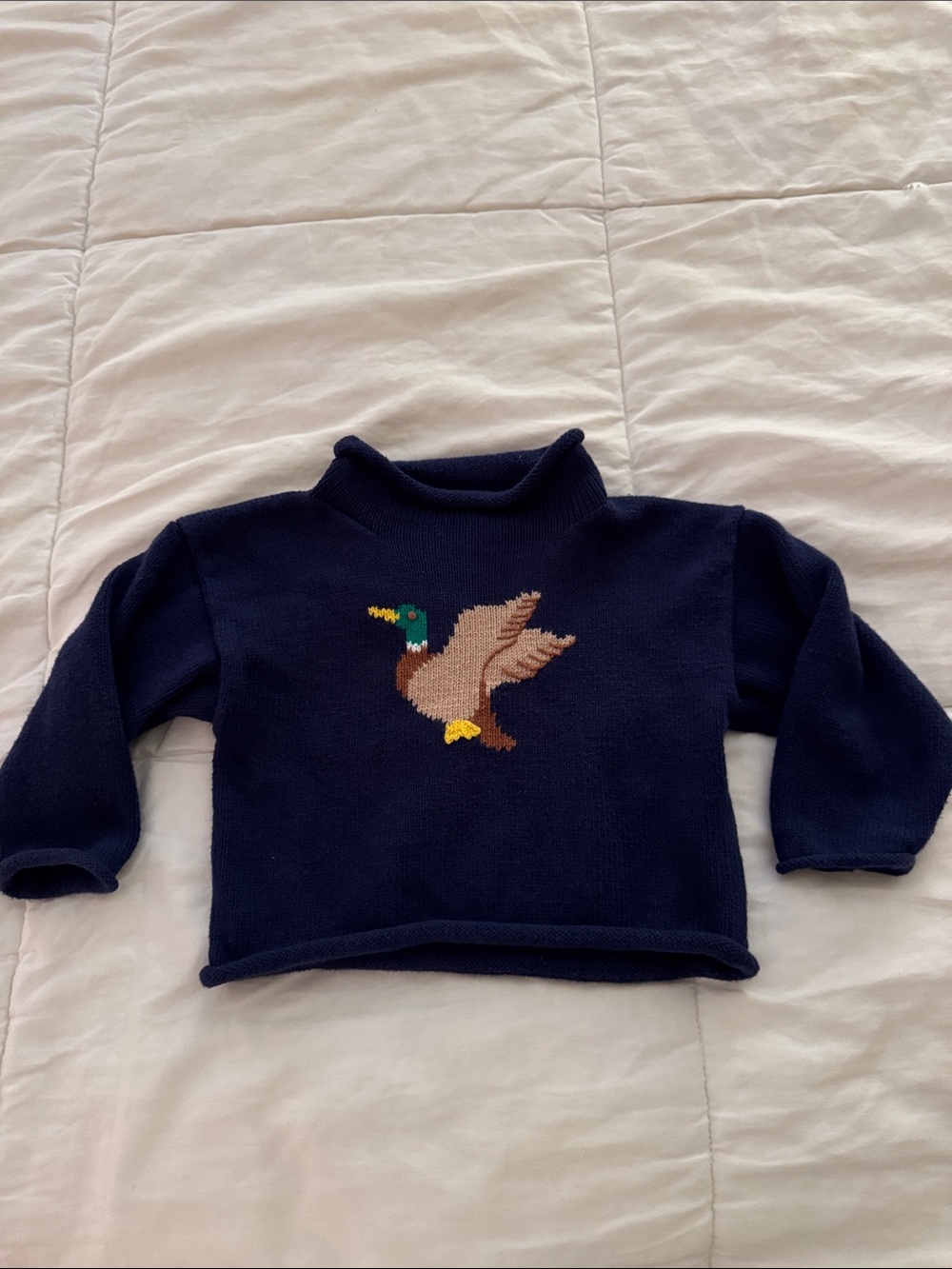 Cozy Navy Kids Duck Intarsia Sweater